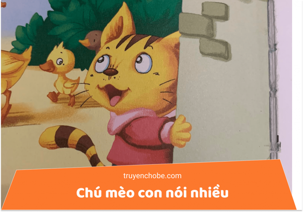 Chú mèo con nói nhiều