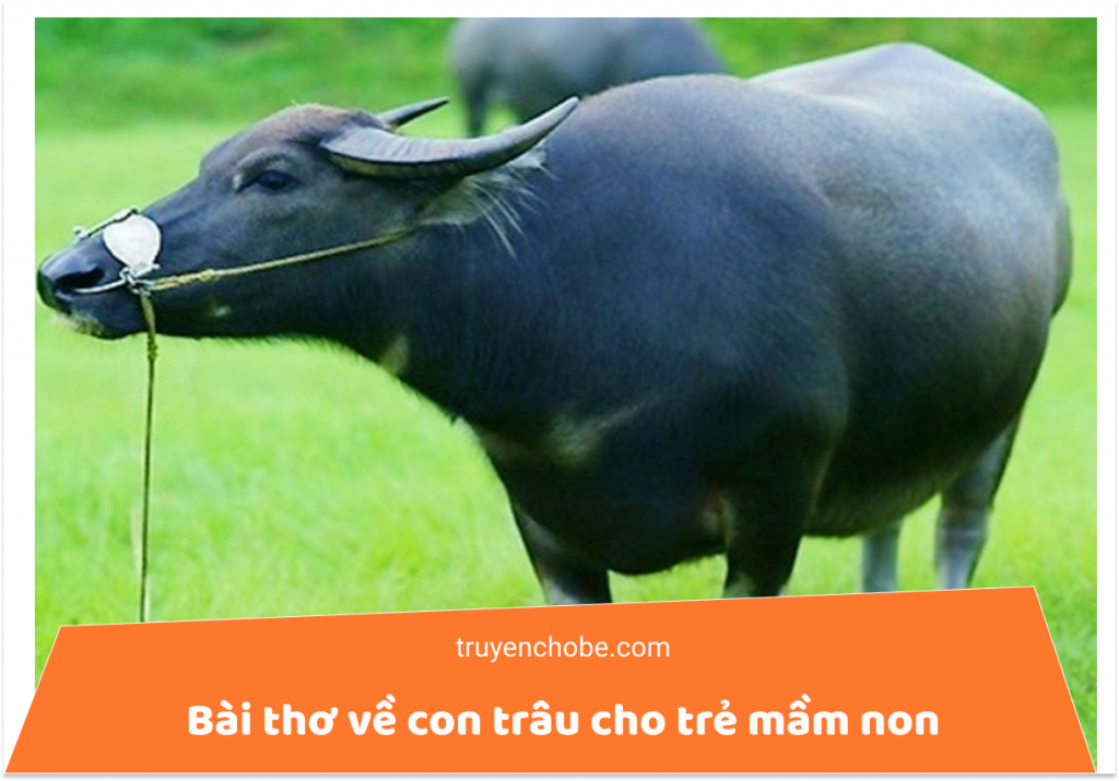 Bài thơ về con trâu cho trẻ mầm non