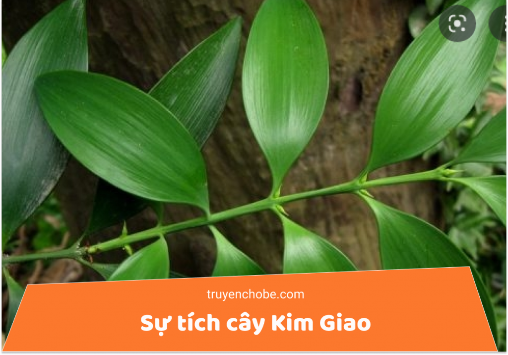 Sự tích cây Kim Giao -Truyện cổ tích Việt Nam