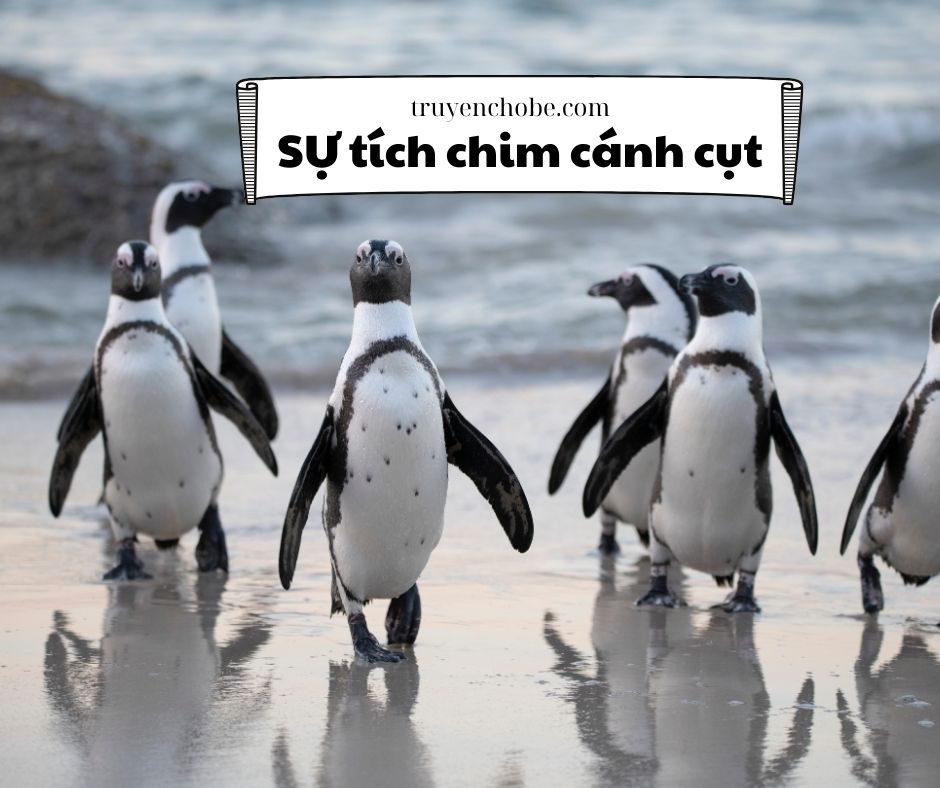 Truyện Sự tích Chim Cánh cụt