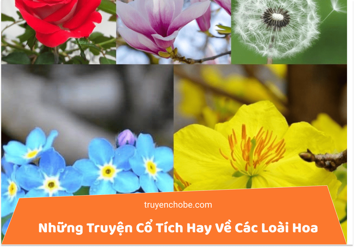 Những Truyện Cổ Tích Hay Về Các Loài Hoa - mẹ kể bé nghe