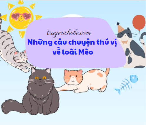 Tổng hợp các câu chuyện về mèo